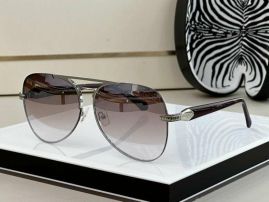 Picture of Roberto Cavalli Sunglasses _SKUfw46127416fw